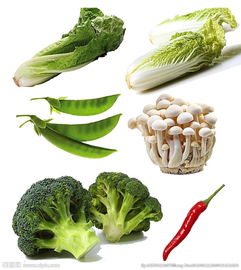 蔬菜圖片的藝術(shù)與價(jià)值 從視覺到營養(yǎng)的全方位解讀